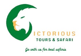 Victorious Tours and Safaris