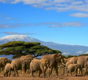 7-Day Unforgettable Kenya Safari