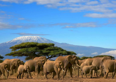 7-Day Unforgettable Kenya Safari