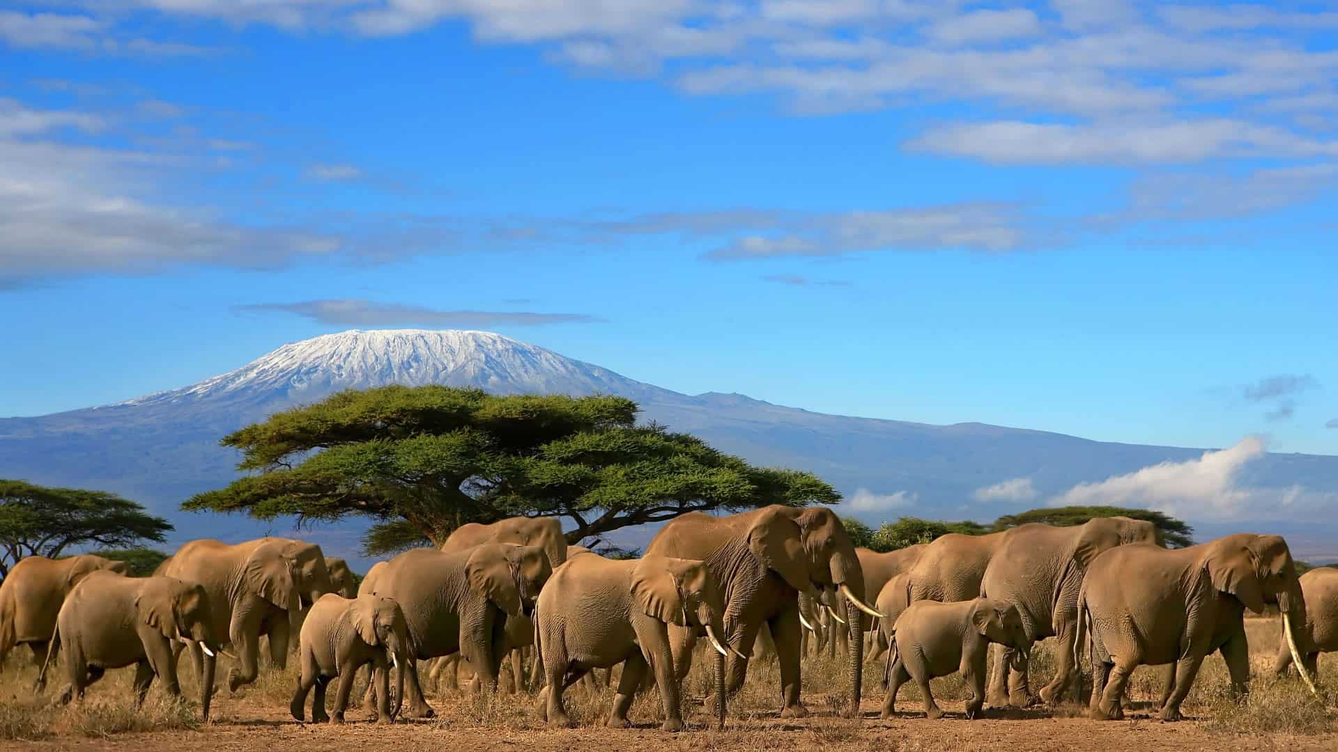 7-Day Unforgettable Kenya Safari