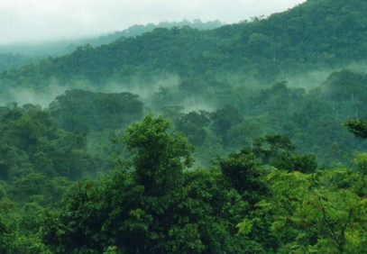 3-Day Uganda Gorilla Trekking Safari