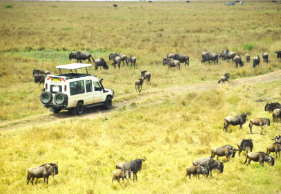 7 Days Best of Kenya Parks Safari