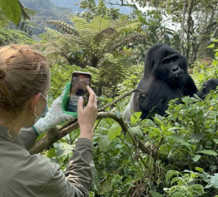 3-Day Rwanda Gorilla and Golden Monkey Trekking