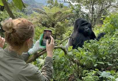 3-Day Rwanda Gorilla and Golden Monkey Trekking