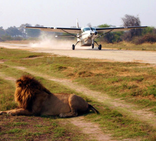 3-Day Flying Safari to Masai Mara