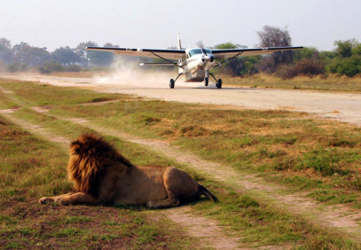 3-Day Flying Safari to Masai Mara
