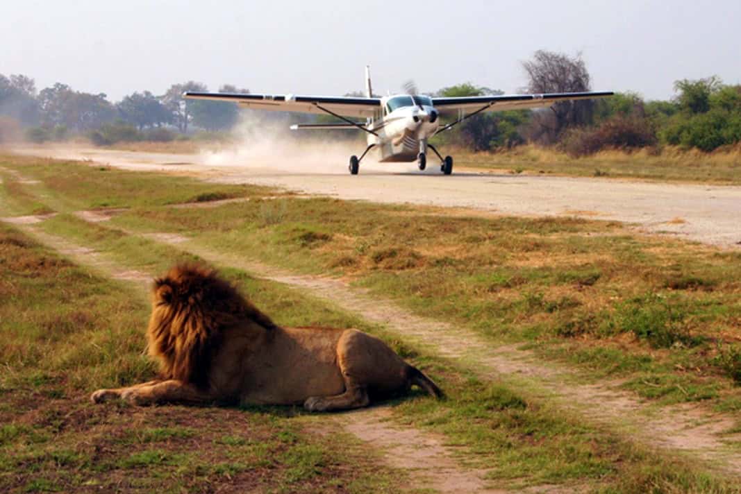 3-Day Flying Safari to Masai Mara