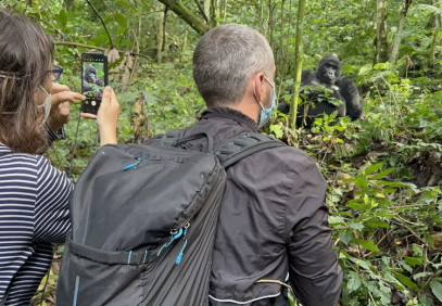 7-Day Rwanda and Uganda Primates and Wildlife Safari
