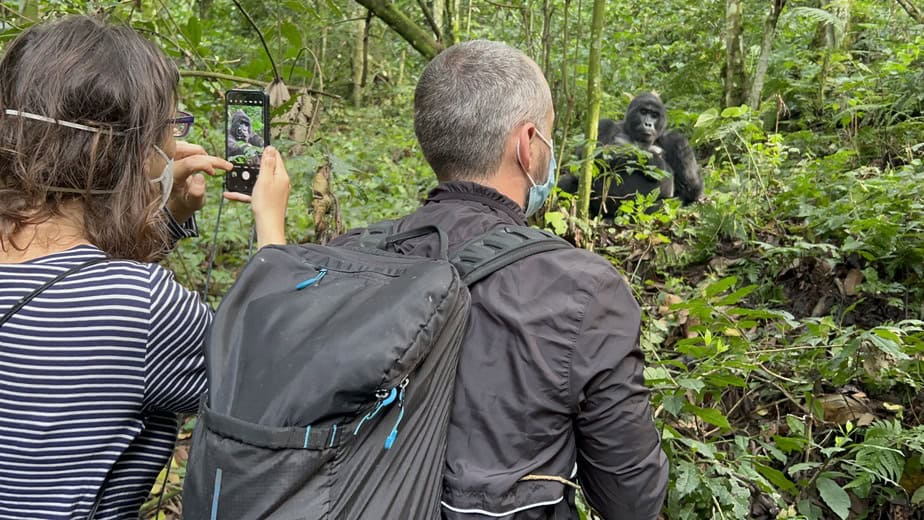7-Day Rwanda and Uganda Primates and Wildlife Safari