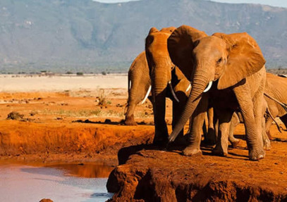 3-Day Heart of Tsavo Safari