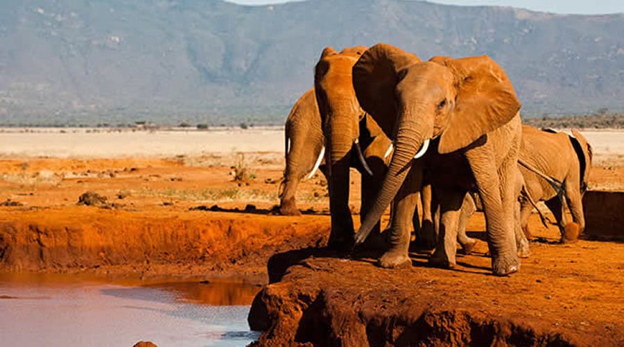 3-Day Heart of Tsavo Safari