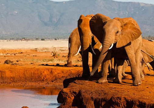 Tsavo East National Park 