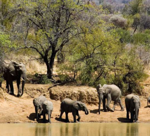 5-Day Greater Kruger Park, Panorama Route and Cultural Safari