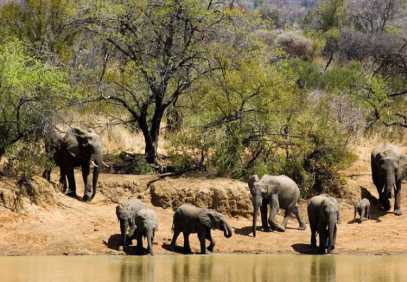5-Day Greater Kruger Park, Panorama Route and Cultural Safari