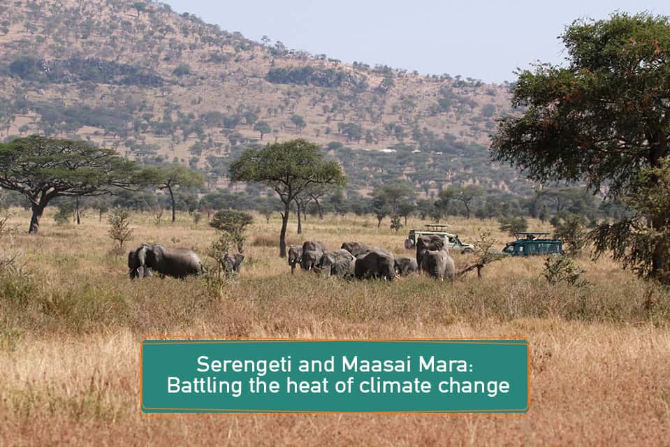 Serengeti and Maasai Mara: Battling the heat of climate change