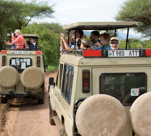 6-Day Tarangire, Serengeti, Ngorongoro & Manyara Safari