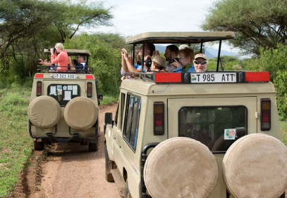 6-Day Tarangire, Serengeti, Ngorongoro & Manyara Safari