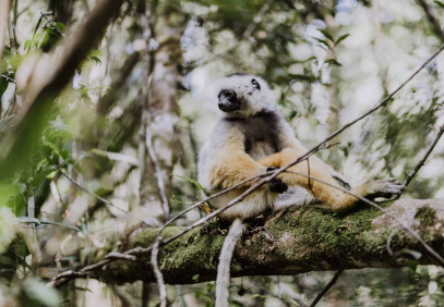 16-Day Madagascar, Island of Lemurs and A Thousand Cultures