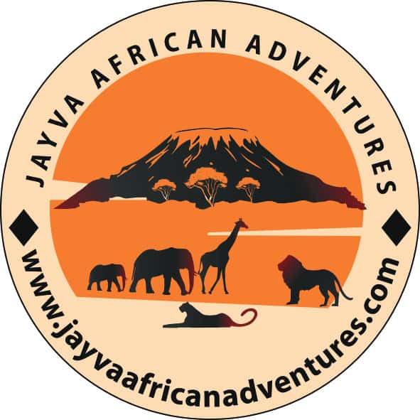 Jayva African Safari