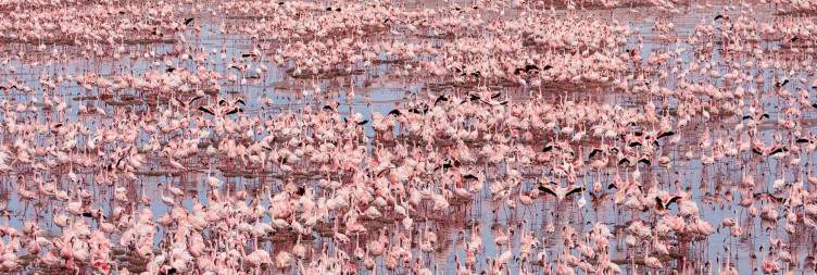 8-Day Northern Tanzania and Lake Natron Trip