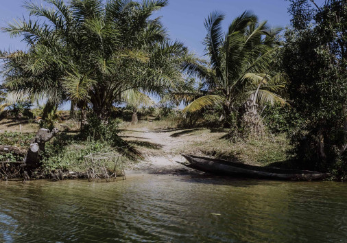 Lemuren Und Das Reservat Von Palmarium (4)