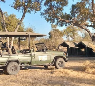 3-Day Moremi Game Reserve Explorer