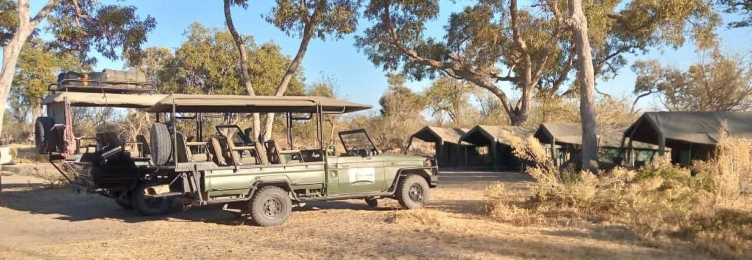 3-Day Moremi Game Reserve Explorer