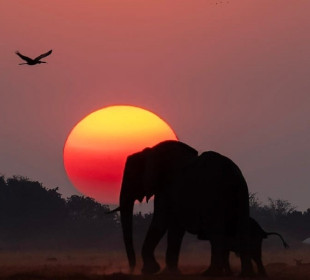 9-Day Okavango Delta, Makgadikgadi, Chobe & Victoria Falls