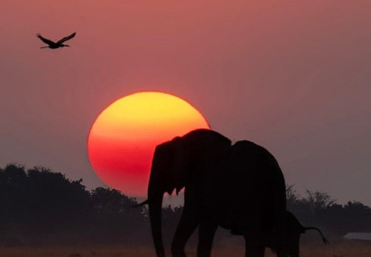 9-Day Okavango Delta, Makgadikgadi, Chobe & Victoria Falls