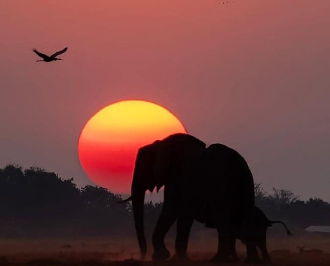 9-Day Okavango Delta, Makgadikgadi, Chobe & Victoria Falls