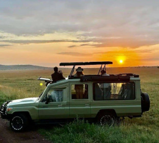 4-Day Luxury Safari at Four Seasons Serengeti from Zanzibar