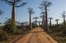 16-Day Adventure in the Heart of the Great West