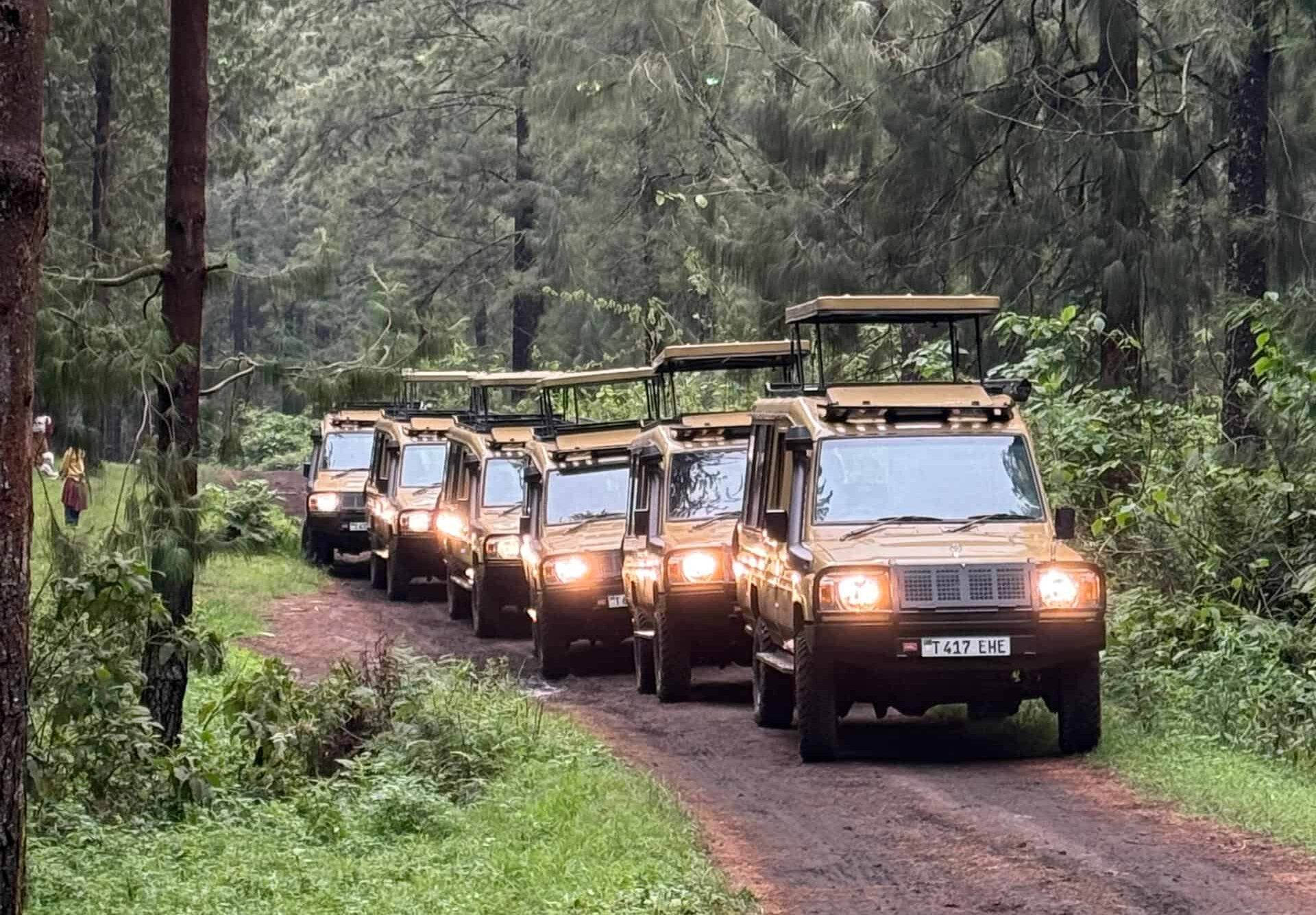 10-Day Southern Circuit of Tanzania Safari