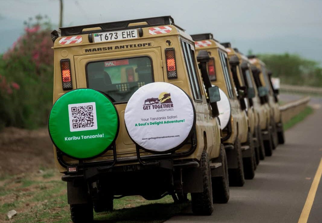2-Day Lake Manyara & Tarangire National Park Safari