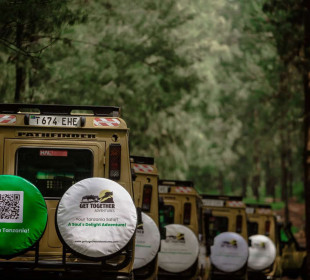 6-Day Tarangire, Serengeti, Ngorongoro Crater Safari