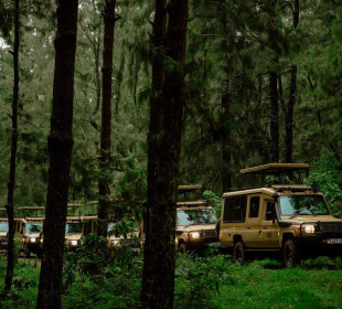 13-Day Safari to Bush and Zanzibar Island