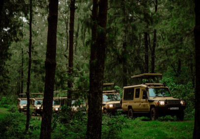 13-Day Safari to Bush and Zanzibar Island
