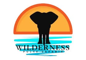 Wilderness Pulse Safaris