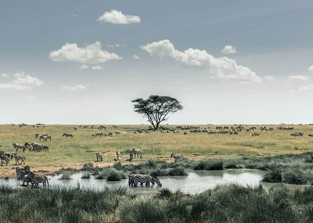 3-Day Journey into Tanzania’s Heart – Serengeti & Ngorongoro