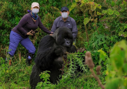 Fb Img 1735994975532[1]