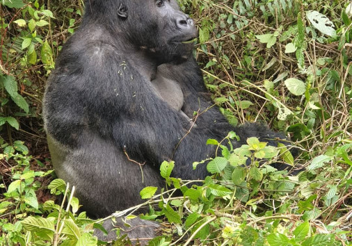 Fb Img 1736247115886[1]