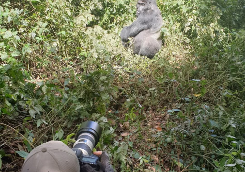 Fb Img 1736247122389[1]