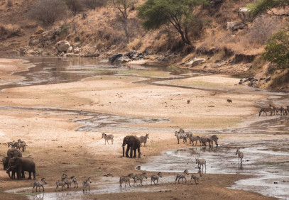 3-Day Serengeti and Ngorongoro Crater Safari