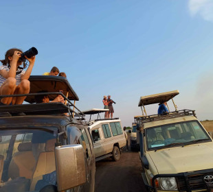 7 Days Uganda Primates and Wildlife Safari