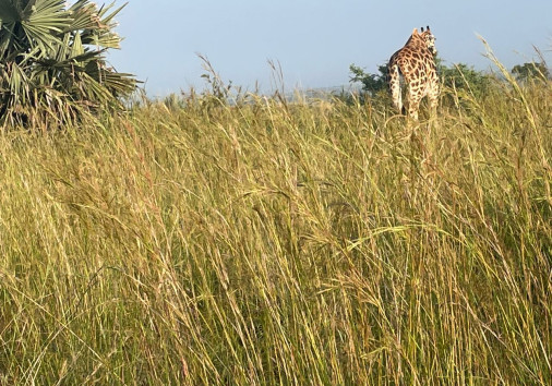 Whatsapp Image 2024 11 26 At 08.50.47