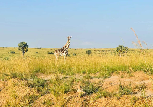 Whatsapp Image 2024 11 26 At 08.50.48