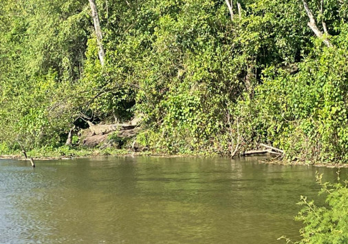 Whatsapp Image 2024 11 26 At 09.55.24