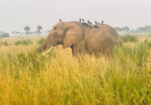 Whatsapp Image 2024 12 01 At 14.50.32