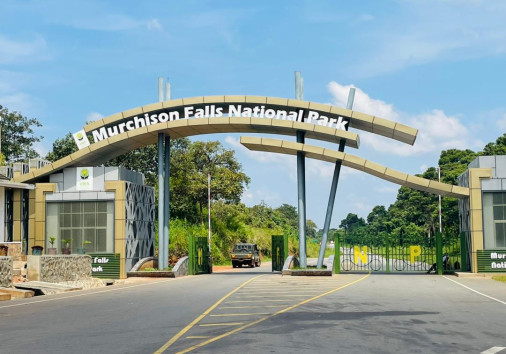 Whatsapp Image 2024 12 02 At 18.37.19