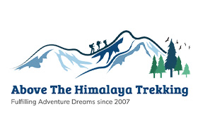 Above the Himalaya